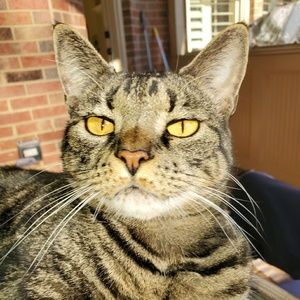 Meet your Posher, John